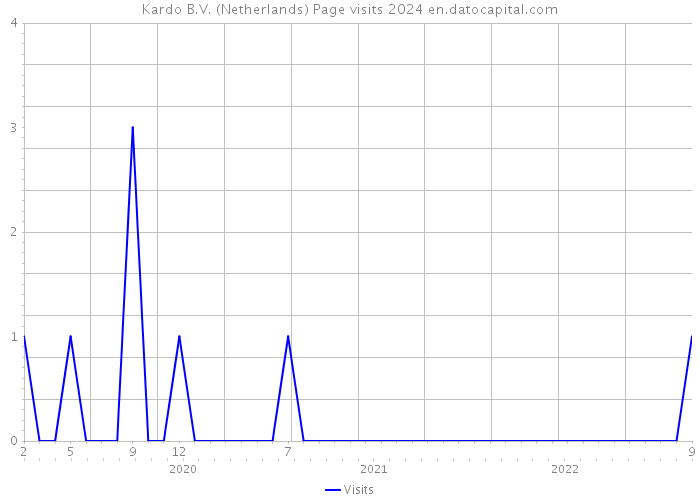 Kardo B.V. (Netherlands) Page visits 2024 