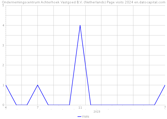 Ondernemingscentrum Achterhoek Vastgoed B.V. (Netherlands) Page visits 2024 