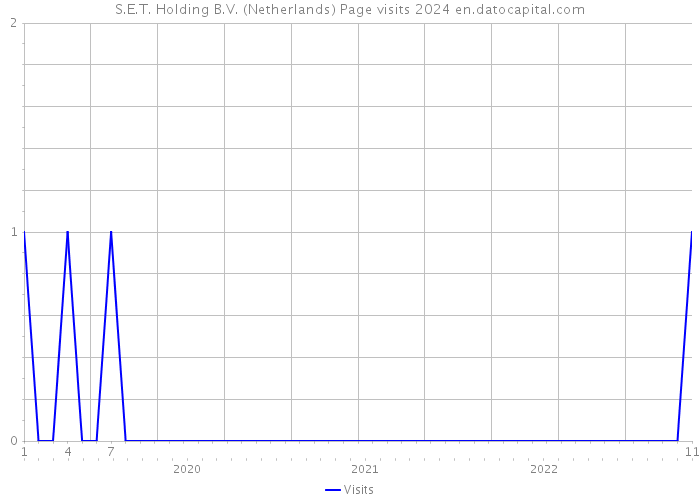 S.E.T. Holding B.V. (Netherlands) Page visits 2024 
