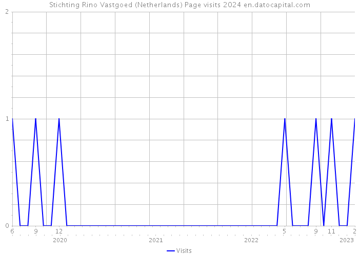 Stichting Rino Vastgoed (Netherlands) Page visits 2024 