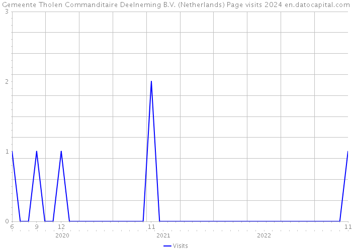 Gemeente Tholen Commanditaire Deelneming B.V. (Netherlands) Page visits 2024 