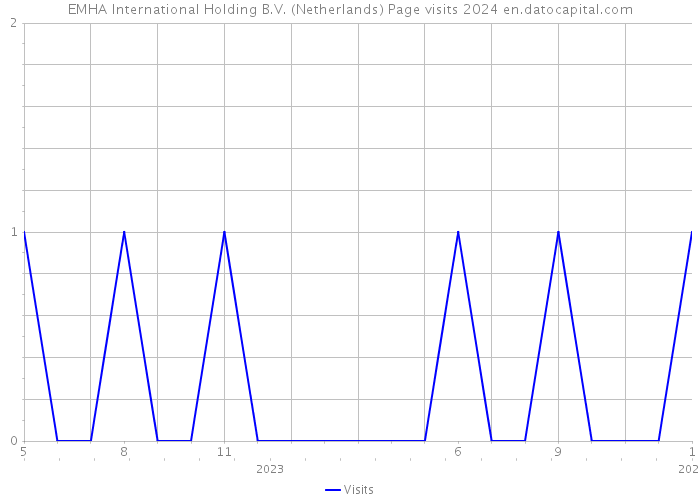 EMHA International Holding B.V. (Netherlands) Page visits 2024 