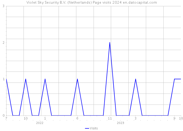 Violet Sky Security B.V. (Netherlands) Page visits 2024 