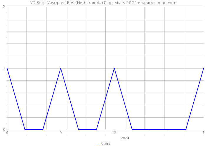 VD Berg Vastgoed B.V. (Netherlands) Page visits 2024 