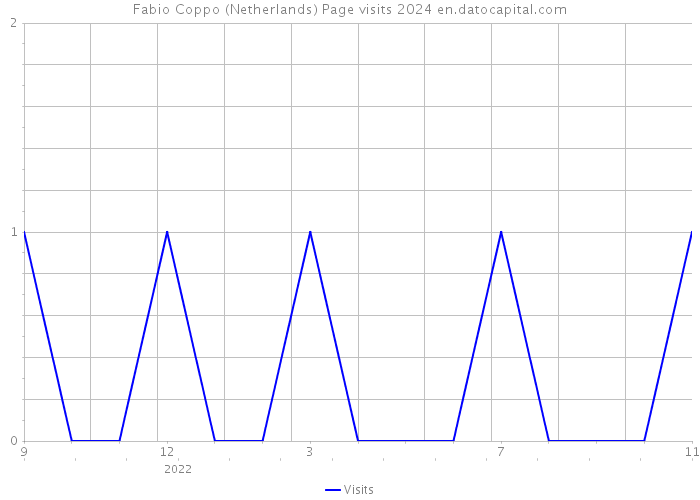 Fabio Coppo (Netherlands) Page visits 2024 