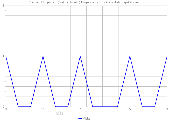 Casper Hogeweg (Netherlands) Page visits 2024 
