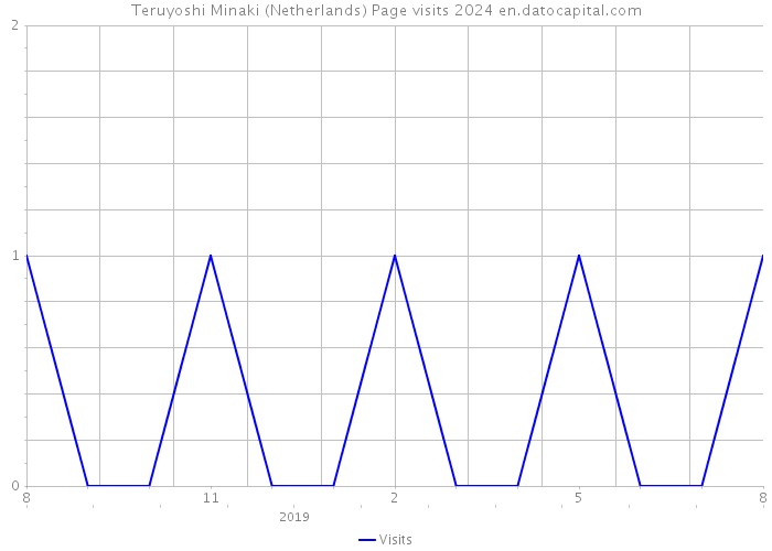 Teruyoshi Minaki (Netherlands) Page visits 2024 