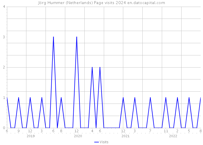 Jörg Hummer (Netherlands) Page visits 2024 