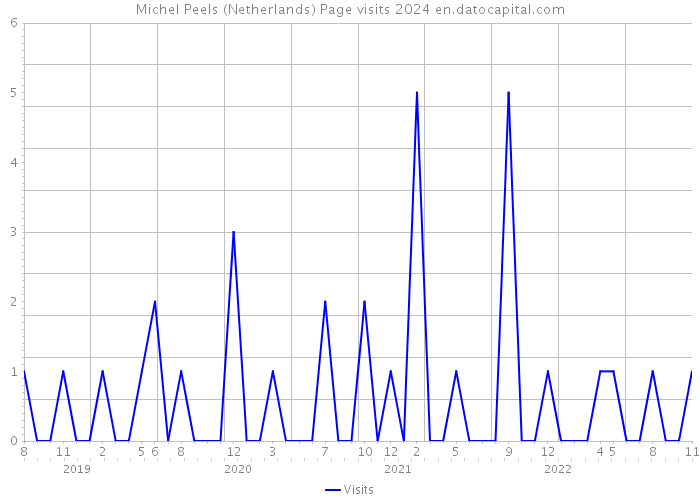 Michel Peels (Netherlands) Page visits 2024 