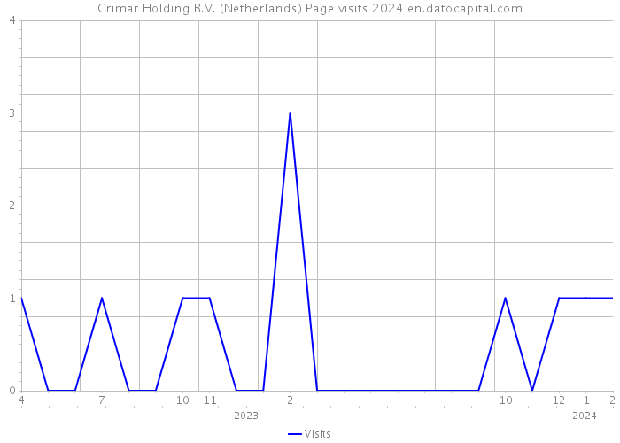 Grimar Holding B.V. (Netherlands) Page visits 2024 