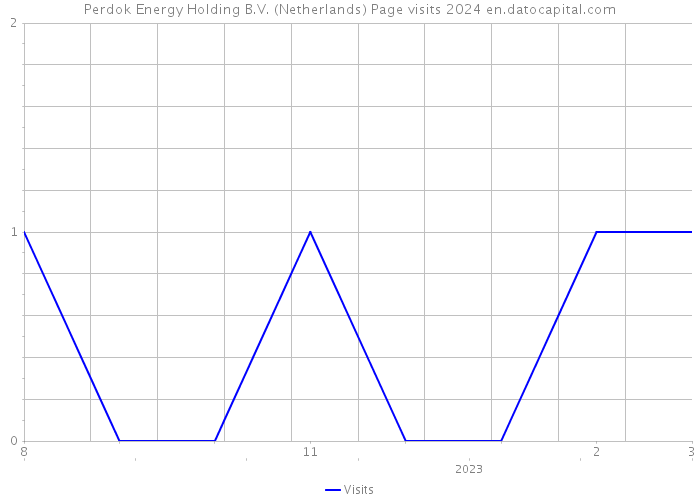 Perdok Energy Holding B.V. (Netherlands) Page visits 2024 