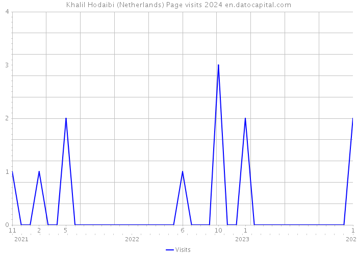 Khalil Hodaibi (Netherlands) Page visits 2024 