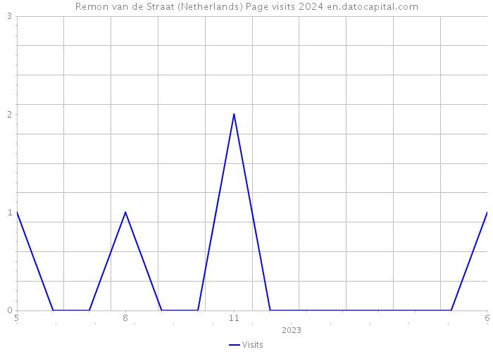 Remon van de Straat (Netherlands) Page visits 2024 