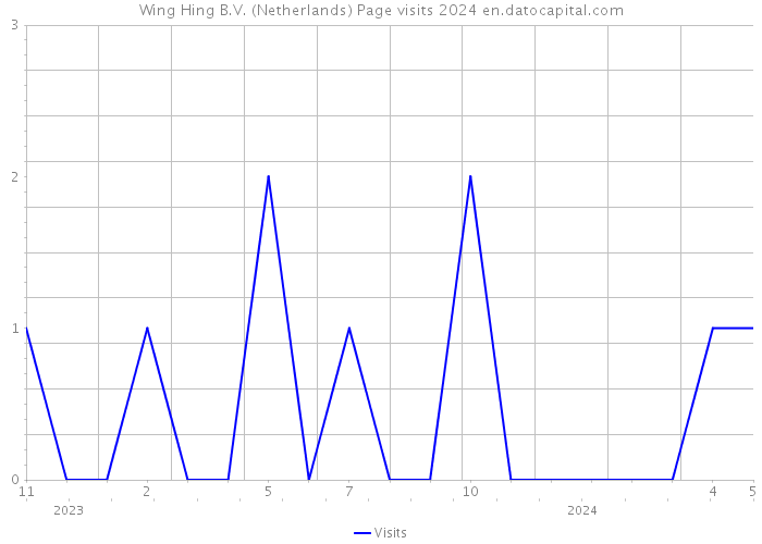 Wing Hing B.V. (Netherlands) Page visits 2024 
