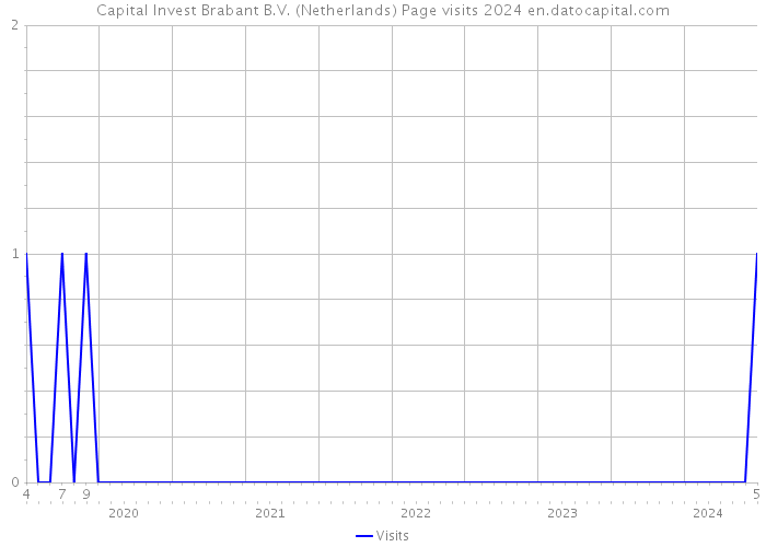 Capital Invest Brabant B.V. (Netherlands) Page visits 2024 