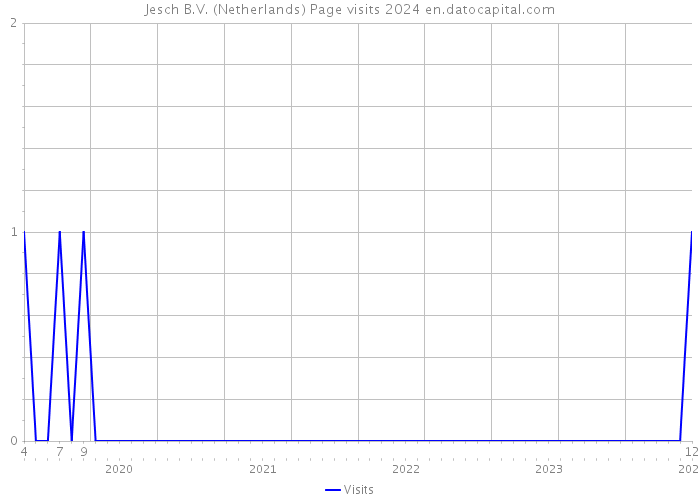 Jesch B.V. (Netherlands) Page visits 2024 