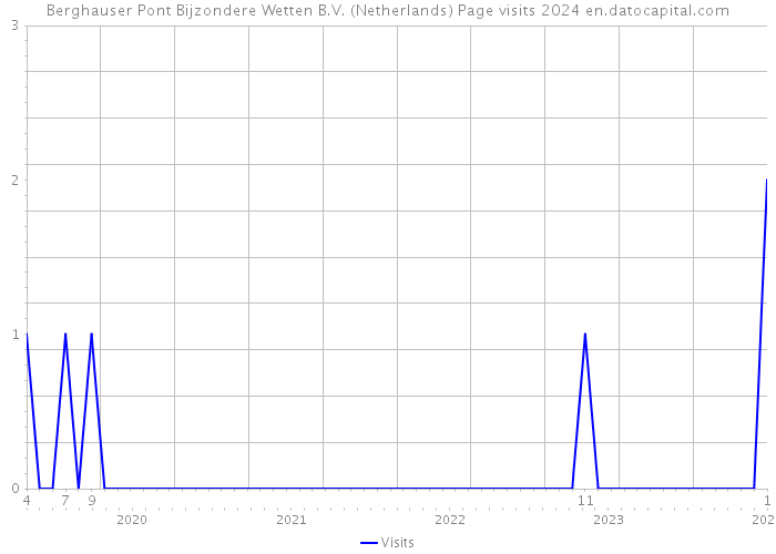Berghauser Pont Bijzondere Wetten B.V. (Netherlands) Page visits 2024 