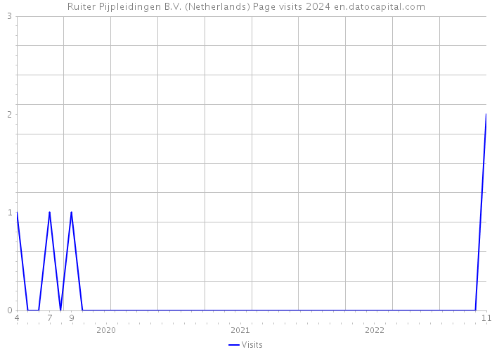Ruiter Pijpleidingen B.V. (Netherlands) Page visits 2024 