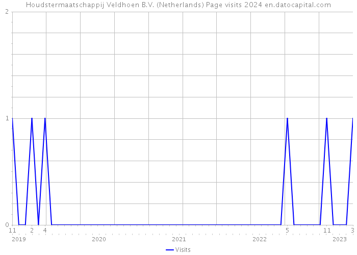 Houdstermaatschappij Veldhoen B.V. (Netherlands) Page visits 2024 