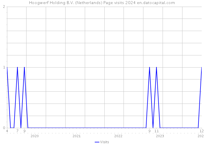 Hoogwerf Holding B.V. (Netherlands) Page visits 2024 