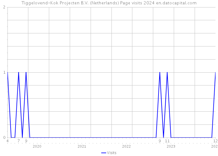 Tiggelovend-Kok Projecten B.V. (Netherlands) Page visits 2024 