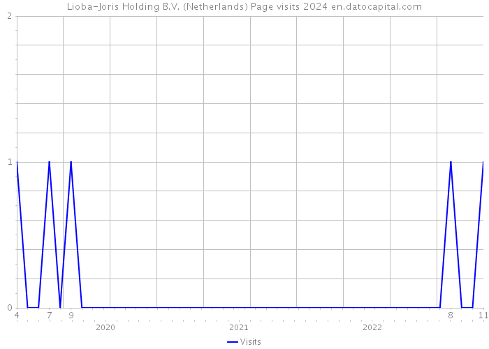 Lioba-Joris Holding B.V. (Netherlands) Page visits 2024 