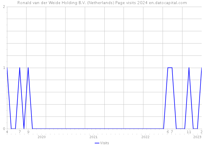 Ronald van der Weide Holding B.V. (Netherlands) Page visits 2024 