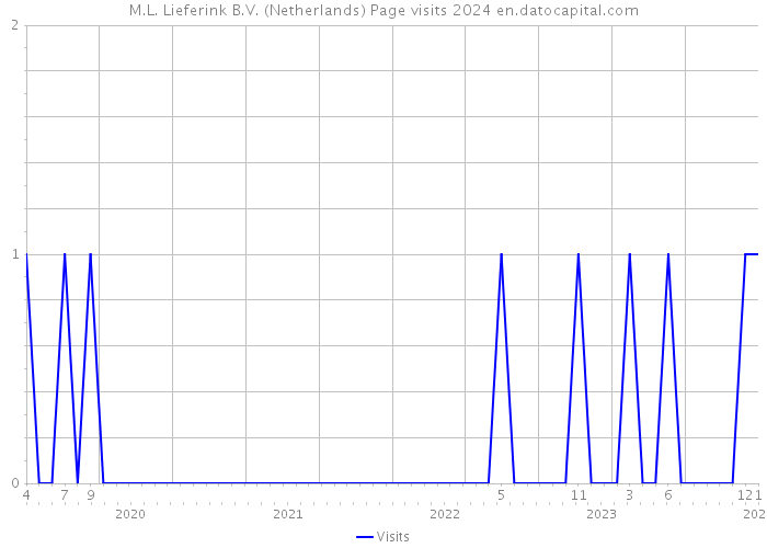 M.L. Lieferink B.V. (Netherlands) Page visits 2024 