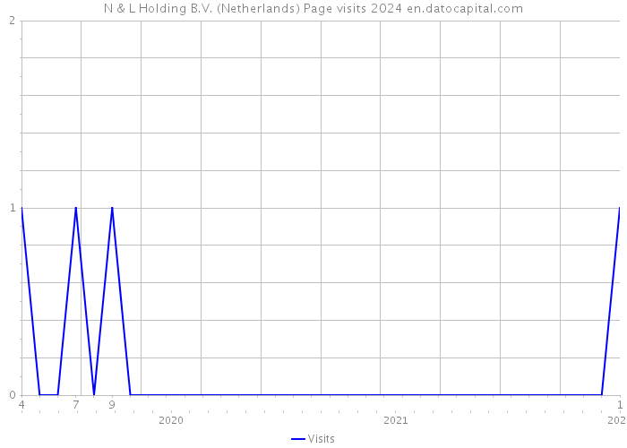 N & L Holding B.V. (Netherlands) Page visits 2024 