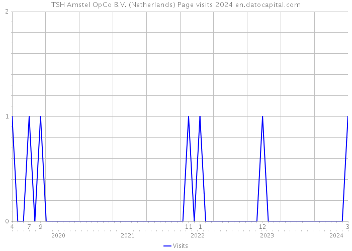TSH Amstel OpCo B.V. (Netherlands) Page visits 2024 