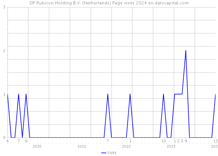 DP Rubicon Holding B.V. (Netherlands) Page visits 2024 