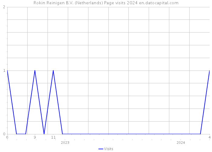 Rokin Reinigen B.V. (Netherlands) Page visits 2024 