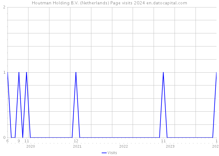 Houtman Holding B.V. (Netherlands) Page visits 2024 