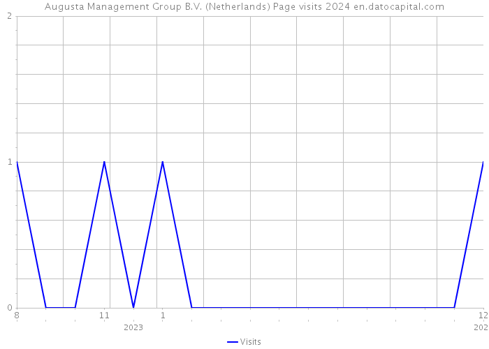 Augusta Management Group B.V. (Netherlands) Page visits 2024 