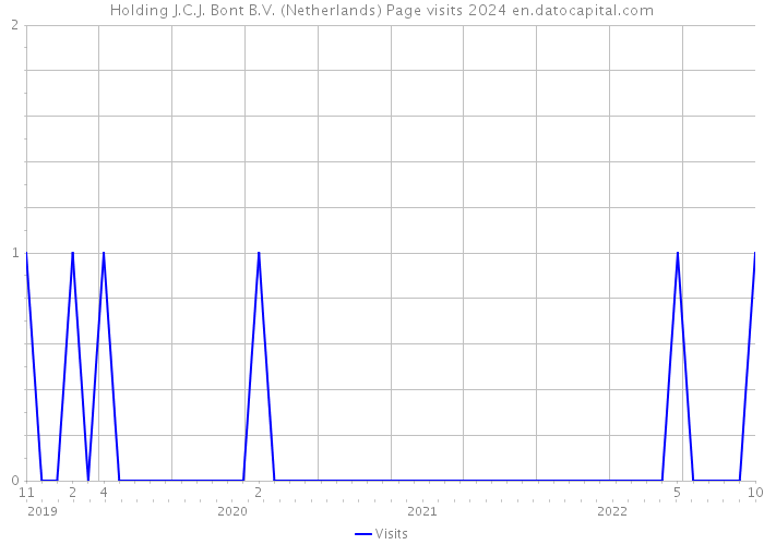 Holding J.C.J. Bont B.V. (Netherlands) Page visits 2024 