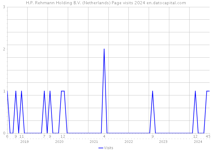 H.P. Rehmann Holding B.V. (Netherlands) Page visits 2024 