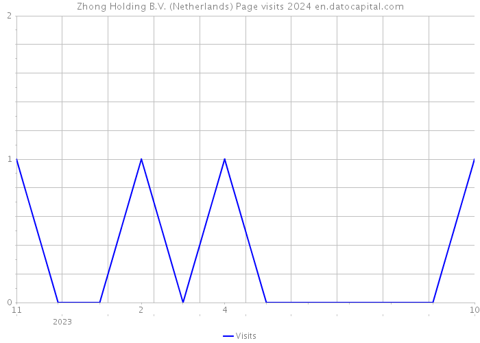 Zhong Holding B.V. (Netherlands) Page visits 2024 