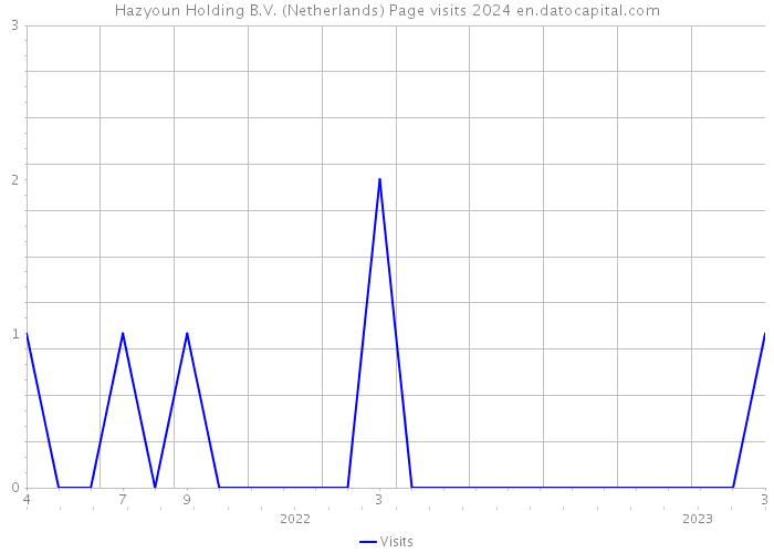 Hazyoun Holding B.V. (Netherlands) Page visits 2024 