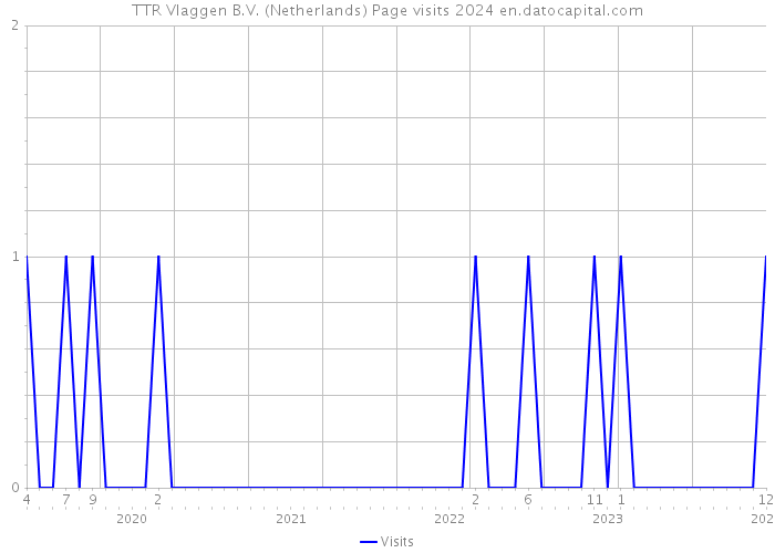 TTR Vlaggen B.V. (Netherlands) Page visits 2024 