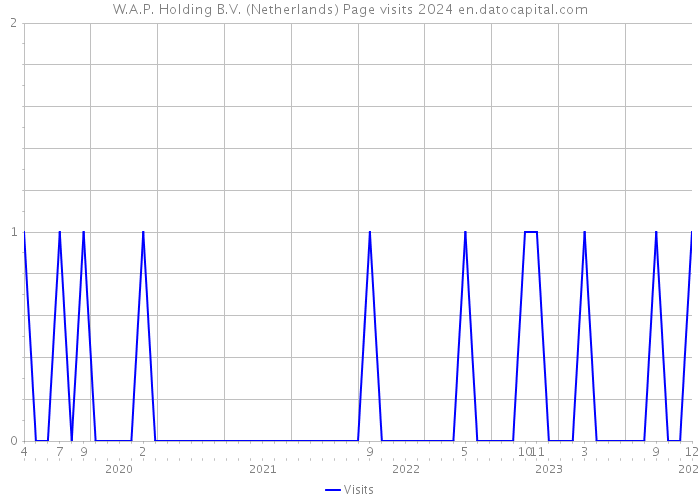W.A.P. Holding B.V. (Netherlands) Page visits 2024 
