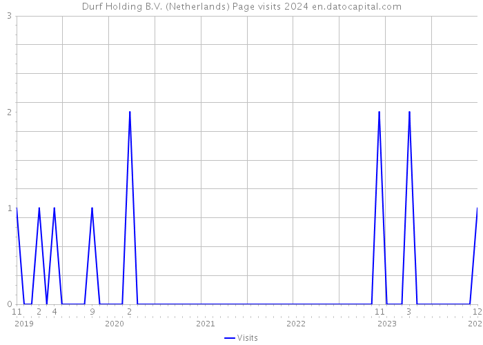Durf Holding B.V. (Netherlands) Page visits 2024 