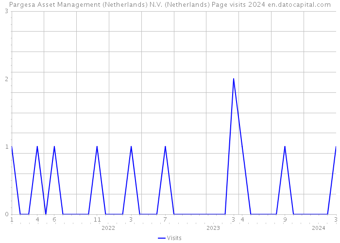 Pargesa Asset Management (Netherlands) N.V. (Netherlands) Page visits 2024 