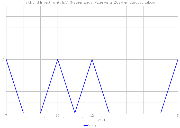 Flexbuild Investments B.V. (Netherlands) Page visits 2024 