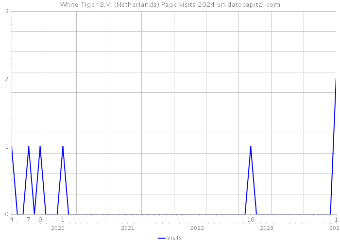 White Tiger B.V. (Netherlands) Page visits 2024 