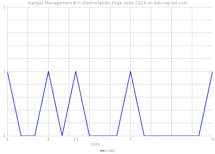 Aantjes Management B.V. (Netherlands) Page visits 2024 