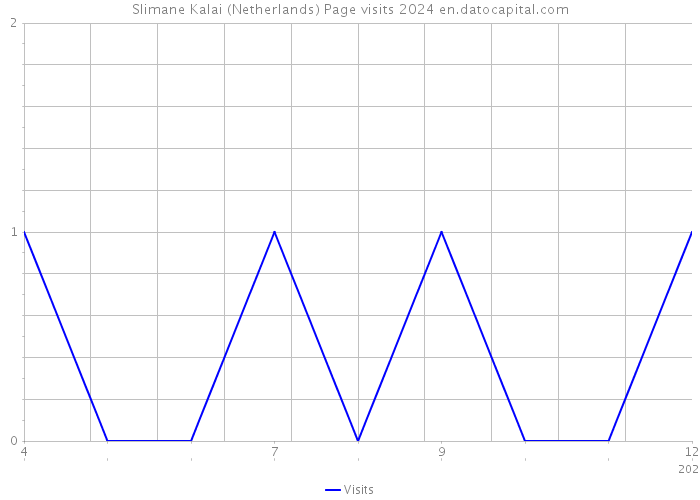 Slimane Kalai (Netherlands) Page visits 2024 