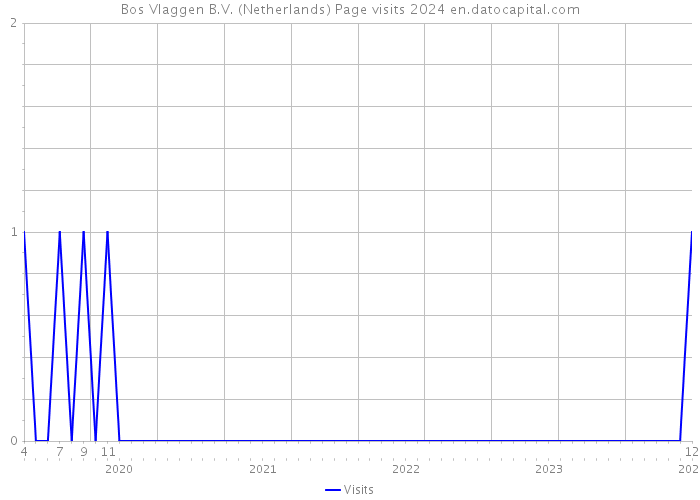 Bos Vlaggen B.V. (Netherlands) Page visits 2024 