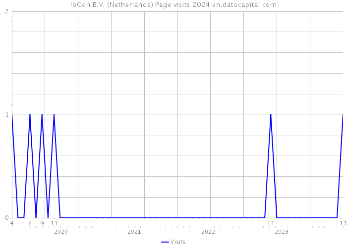 IbCon B.V. (Netherlands) Page visits 2024 