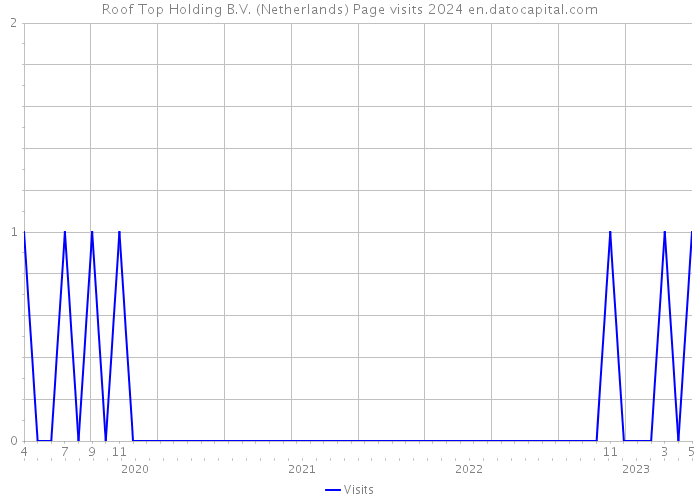 Roof Top Holding B.V. (Netherlands) Page visits 2024 