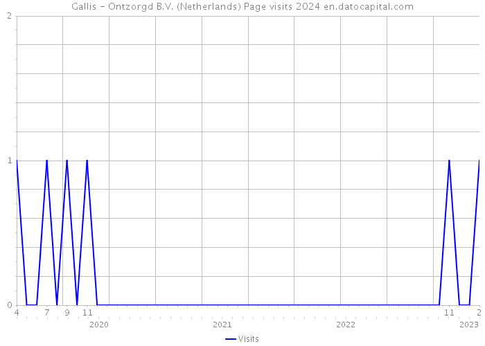 Gallis - Ontzorgd B.V. (Netherlands) Page visits 2024 